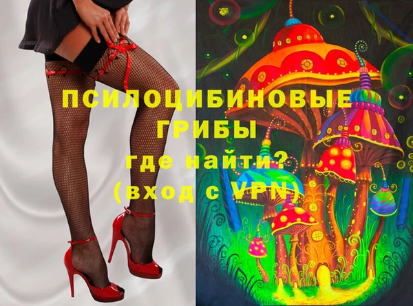 PSILOCYBIN Абинск
